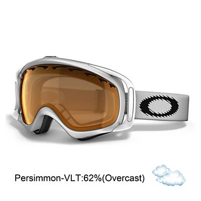 Oakley Crowbar Goggles 2013