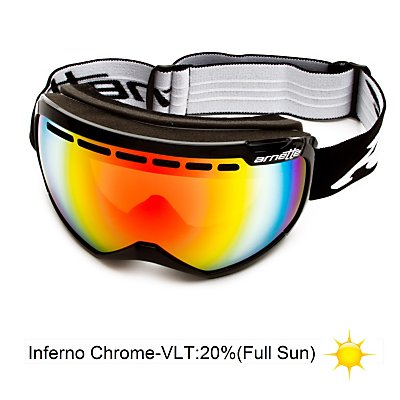 Arnette Skylight Goggles 2013