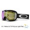 Oakley Stockholm Womens Goggles 2013