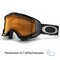 Oakley Twisted Goggles 2013